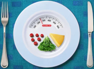 Calculadora de ingesta diaria de calorías: estoy saludable AAAAABJRU5ErkJggg== Estoy Saludable - Contenidos e inteligencia artificial para tu salud Calculadora de Ingesta Diaria de Calorías