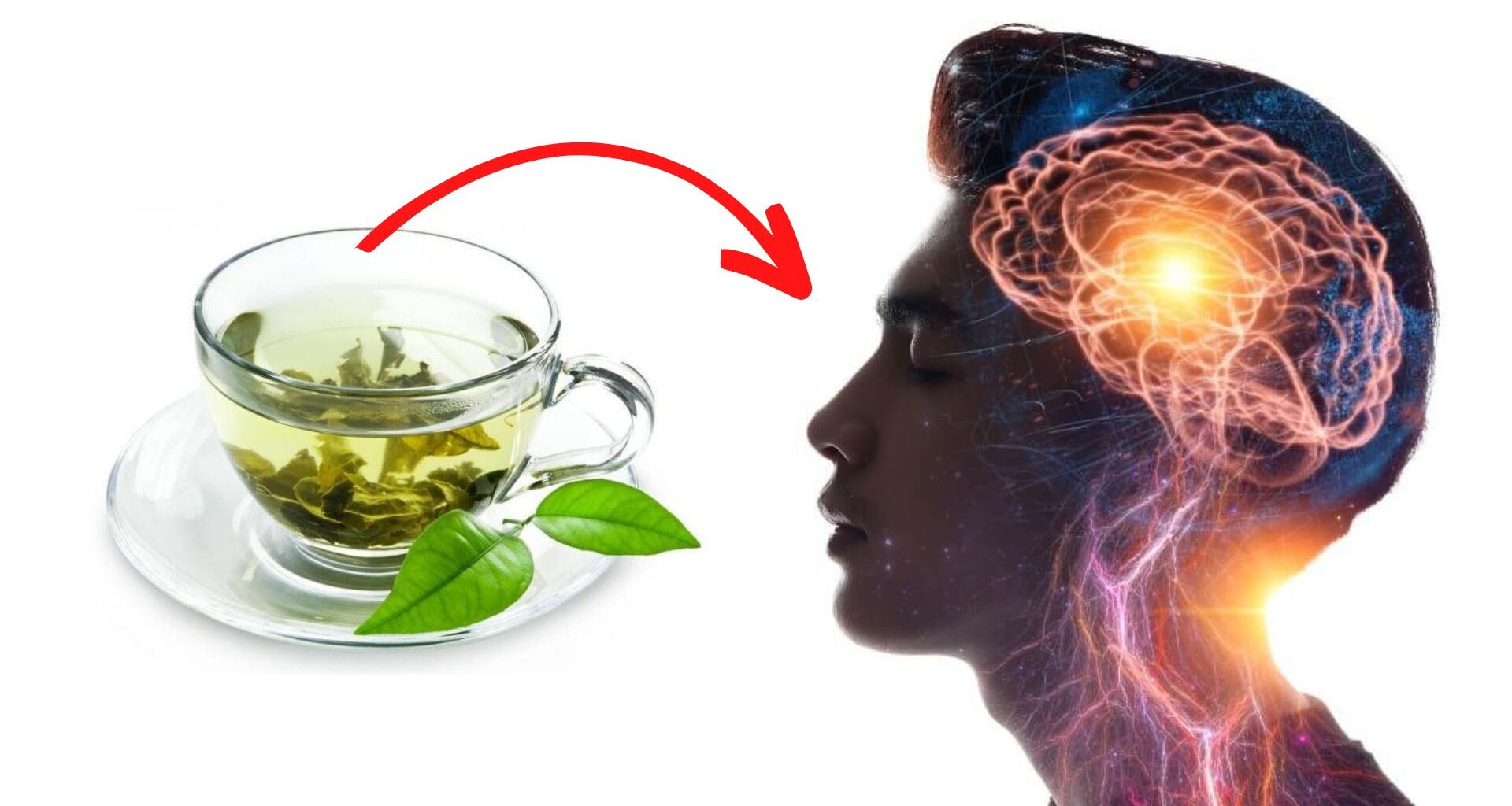 Té verde para el cerebro: aumenta la memoria, fortalece y protege el cerebro Té verde para el cerebro, protege la memoria, fortalece la salud mental - Vou Saúde