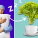 Chá de alface faz dormir muito? Trend no TikTok diz que resolve a insônia (é verdade) - Tenho Saúde Chá de alface faz dormir muito Trend no TikTok diz que resolve a insônia.