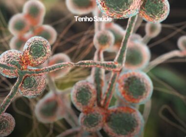 Candida auris: o super fungo, o que é, grupo de risco, quais os sintomas e como prevenir. - Tenho Saúde Candida auris é uma levedura fúngica que pode infectar humanos.