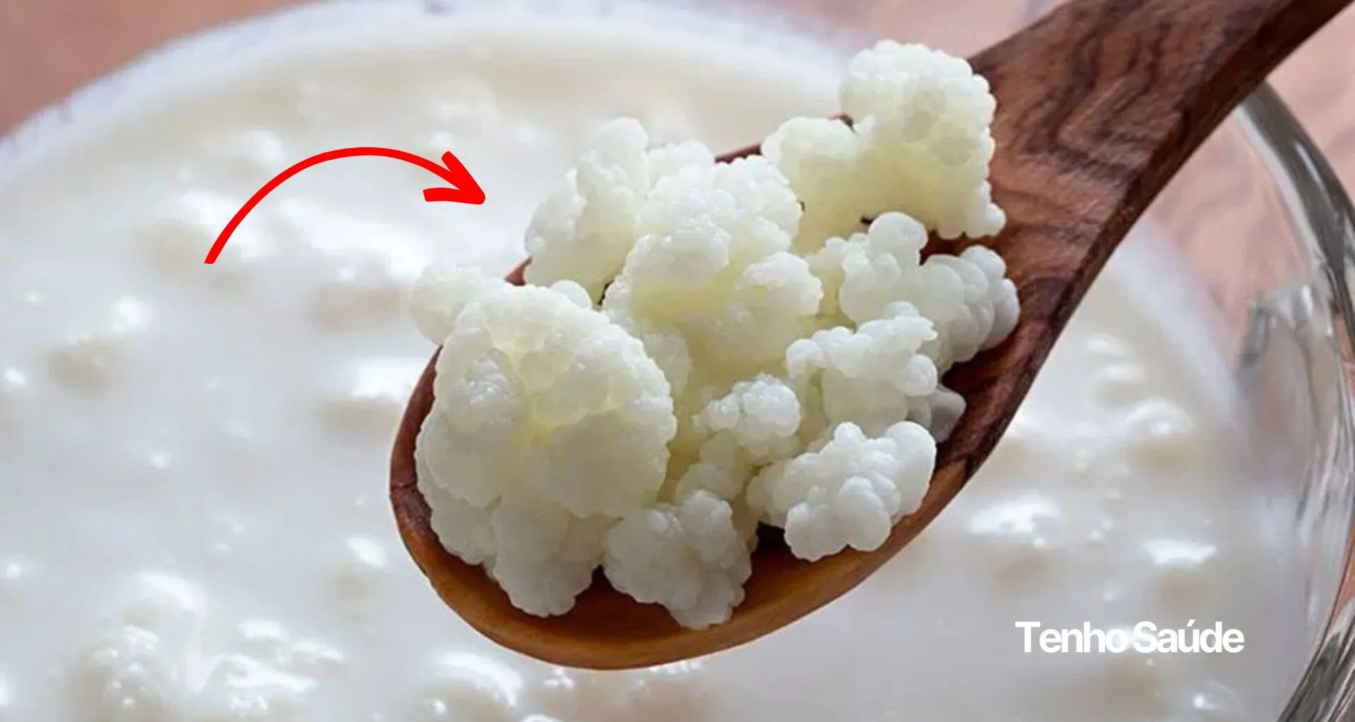 Kefir: isto restaura a saúde do seu Intestino, saiba como (probiótico) - Tenho Saúde Tenho Saúde - Conteúdos e inteligência artificial para tua saúde Kefir: isto restaura a saúde do seu Intestino, saiba como (probiótico)