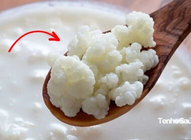 Kefir: isto restaura a saúde do seu Intestino, saiba como (probiótico) - Tenho Saúde AAAAABJRU5ErkJggg== Tenho Saúde - Conteúdos e inteligência artificial para tua saúde Kefir: isto restaura a saúde do seu Intestino, saiba como (probiótico)