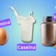 Suero, Caseína o Albúmina: ¿cuáles son las diferencias y ventajas? - Estoy sano Suero, Caseína o Albúmina cuáles son las diferencias y ventajas - Vou Saúde
